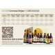 Pack "Combo Belga" - Seleccion Cervezas Belgas 10 Botellas