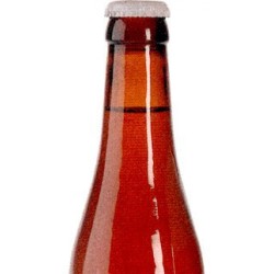 Antiek Blonde - Cerveza Belga Pale Ale Fuerte 33cl