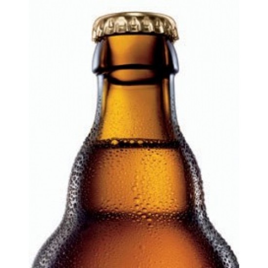 Astra Urtyp - Cerveza Alemana Pilsner 33cl