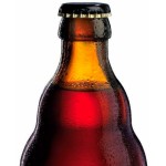 Augustijn Donker - Cerveza Belga Ale Oscura 33 cl.