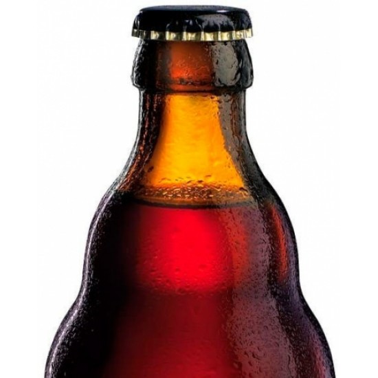 Augustijn Donker - Cerveza Belga Ale Oscura 33cl