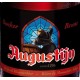 Augustijn Donker - Cerveza Belga Ale Oscura 33cl