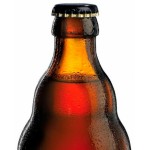 Augustijn Grand Cru - Cerveza Belga Ale 33 cl.