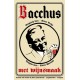 Bacchus Oud Vlaams Bruin - Cerveza Belga Ale 37,5cl