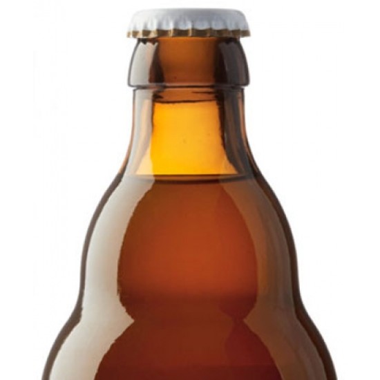 Blanche de Namur Hop N Spice Cerveza Belga Witbier 33 Cl