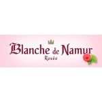 Blanche de Namur Rosee Cerveza Belga Lambic Frambuesa 25 Cl