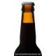 Brewdog Mash Tag - Cerveza Escocesa Brown Ale 33cl