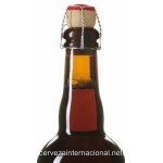 Brugse Zot Doble - Cerveza Belga Abadia Doble 75cl