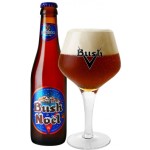 Bush Noel - Cerveza Belga Temporada Navidad 33 cl.