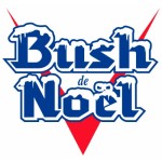 Bush Noel - Cerveza Belga Temporada Navidad 33 cl.