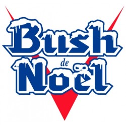 Bush Noel - Cerveza Belga Temporada Navidad 33cl
