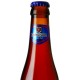 Bush Noel - Cerveza Belga Temporada Navidad 33cl