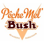 Bush Peche Mel - Cerveza Belga Lambic 33 cl.