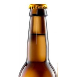 Caracole Saxo - Cerveza Belga Ael Fuerte Bio 33cl