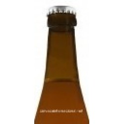 De Ryck Steenulike - Cerveza Belga Ale 33cl