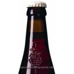 La Trappe Negra Dubbel - Cerveza Holandesa Abadia Trapense 33 cl.