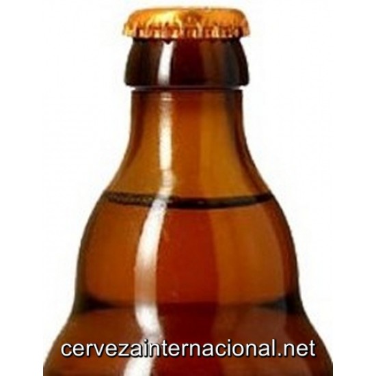 Maredsous 6 - Cerveza Belga Abadia 33cl