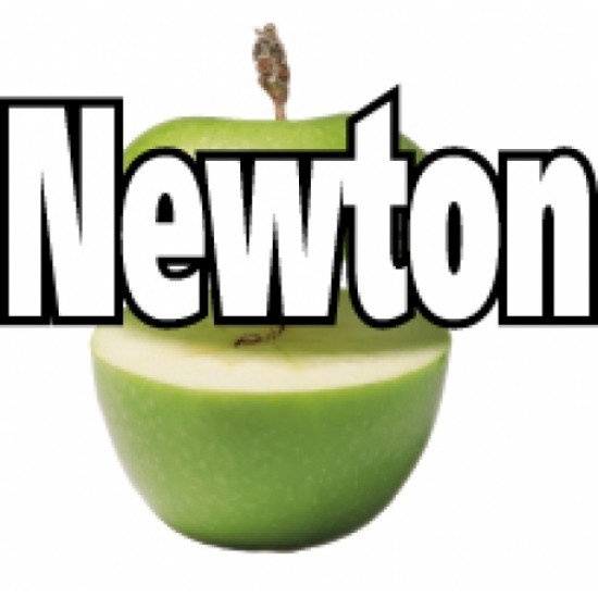 Newton