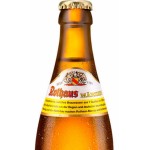 Rothaus Marzen Export Cerveza Alemana Marzen 50 Cl