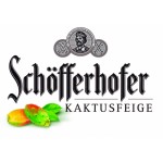 Schöfferhofer Hefeweizen Mix Kaktusfeige