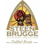 Steenbrugge Dubbel Bruin - Cerveza Belga Ale Oscura 75cl