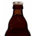 Vicaris Tripel - Cerveza Belga Ale Fuerte 33cl