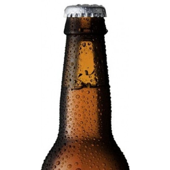T Ij Zatte Bio - Cerveza Holandesa Triple Biológica 33cl
