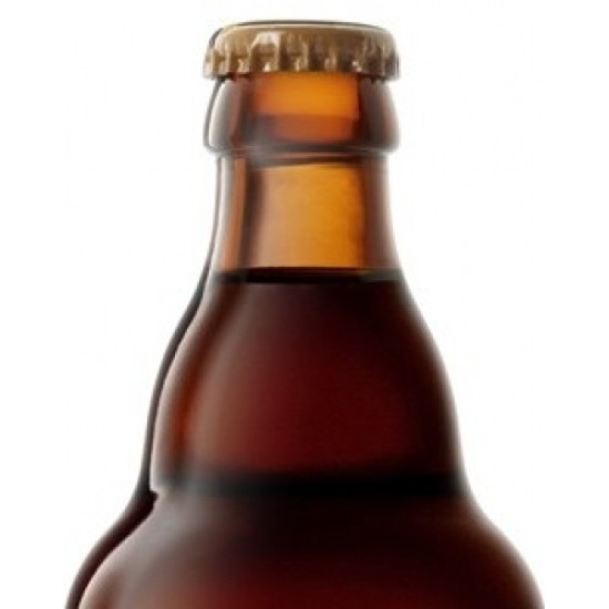 Kasteel Brune - Cerveza Belga Ale Fuerte 33cl